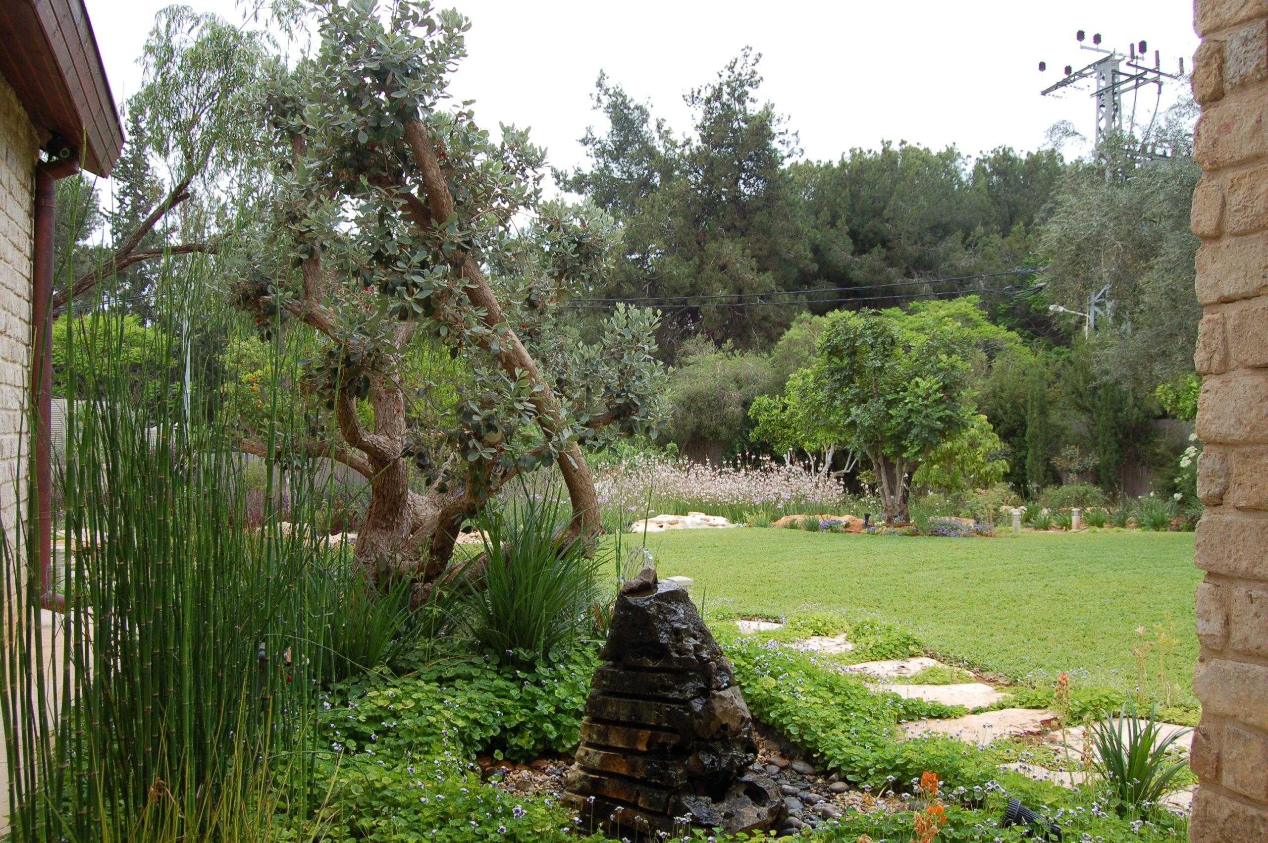 הכנת הגינה לקיץ - הקו הירוק - גינון יוקרה במרכז הארץ