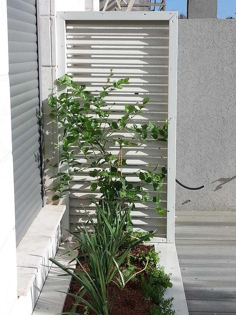 אדנית מובנית בגינת חצר הבית