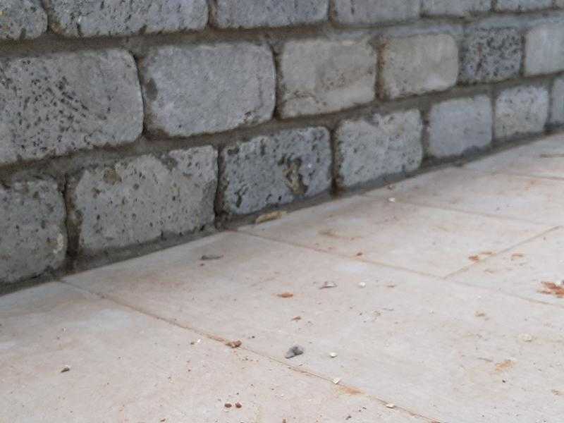 שילוב של קיר לבנים עם חיפוי אבן על הרצפה