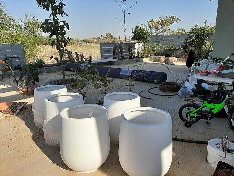 כדי שתילה גדולים לחצר או למרפסת
