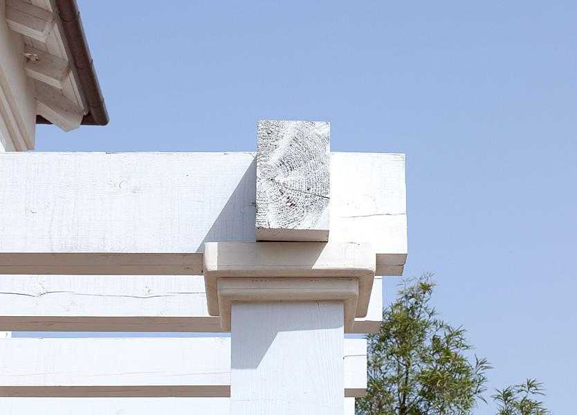 פריט מפרגולת עץ לבנה בחצר הבית