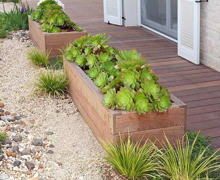 אדניות עץ רחבות בגינת חצר