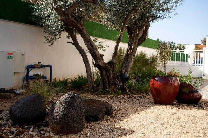 חלק מגינת חצר מעוצבת בשילוב עץ אבן וכדים דקורטיבים גדולים
