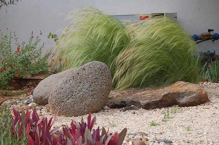 שילוב אבן טבעית בגינת חצר