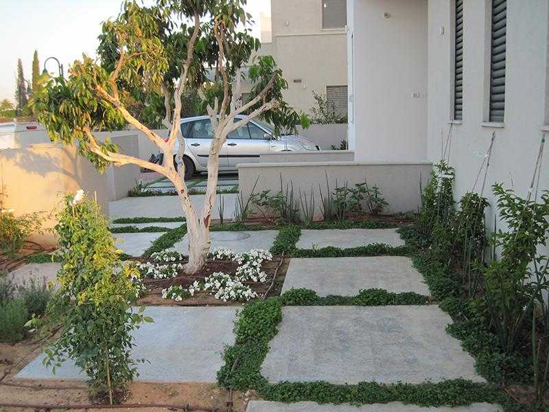 משטח בגינת חצר משבץ אדמה עם לוחות אבן וצמחייה מעורבת