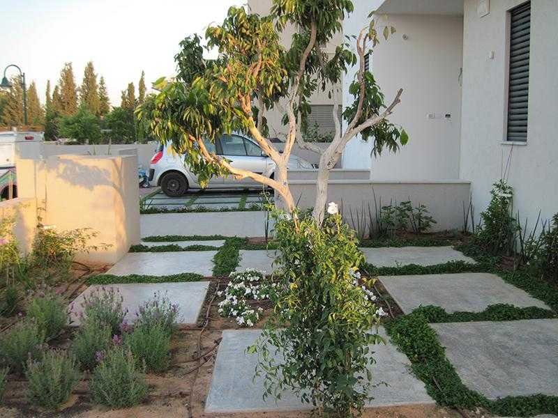 משטח בגינת חצר משבץ אדמה עם לוחות אבן וצמחייה מעורבת