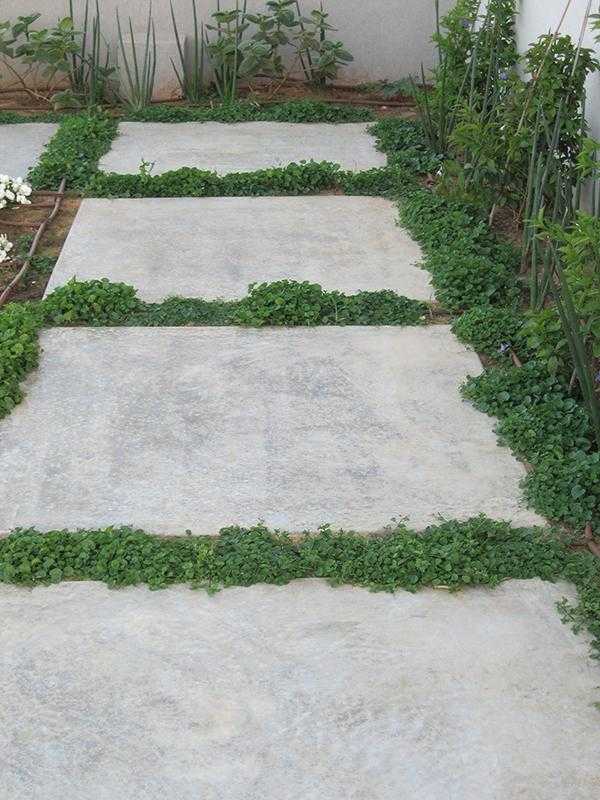 אבני מדרך רחבות בגינת חצר