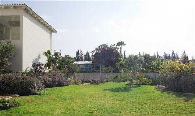 שילוב של דשא עצים וצמחייה מעורבת בגינת חצר במרכז הארץ