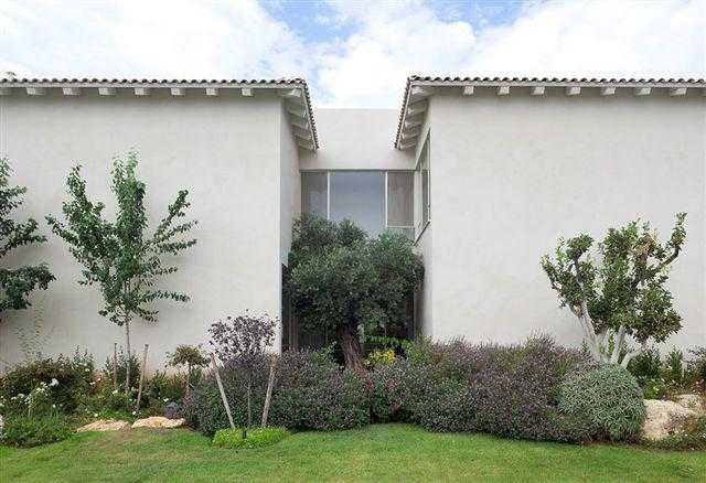 שילוב של צמחייה מעורבת ועצים בגינת חצר במרכז הארץ