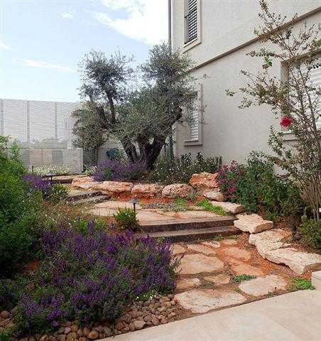 שילוב של מדרכי אבן מדרגות צמחייה מעורבת ועצים בגינת חצר במרכז הארץ