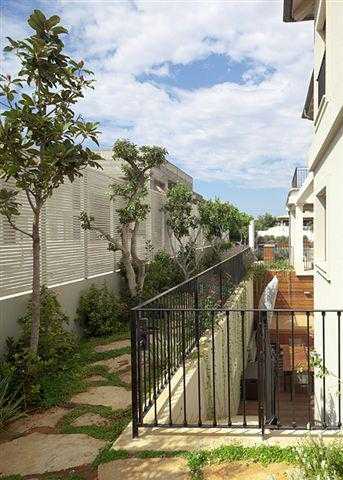 גינת חצר מסביב לבית שילוב אבני מדרך עצים וצמחייה מעורבת