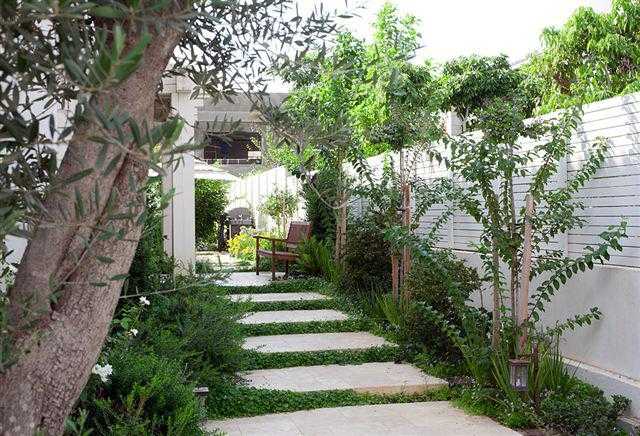 מדרך לוחות אבן רחבה משתחב בגינת חצר עם ספפל