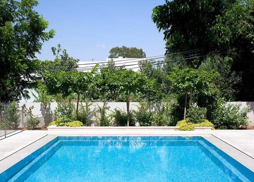 גינת חצר מעוצבת מסביב לבריכה משלבת עצים וצמחייה מעורבת