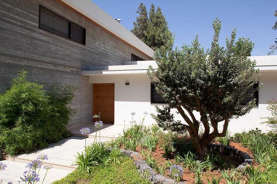 גינה מעוצבת בכניסה לבית