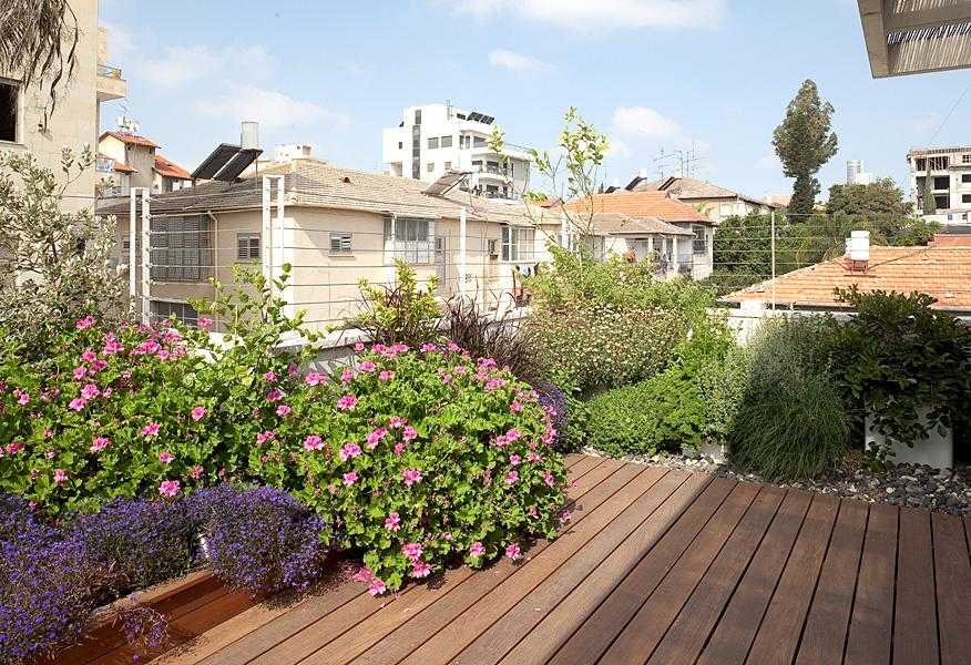 גינת חצר בשילוב דק עץ ואדניות