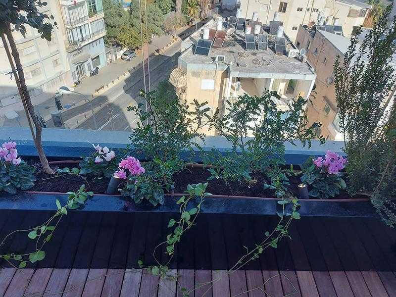 אדניות רחבות במרפסת לצד החלון