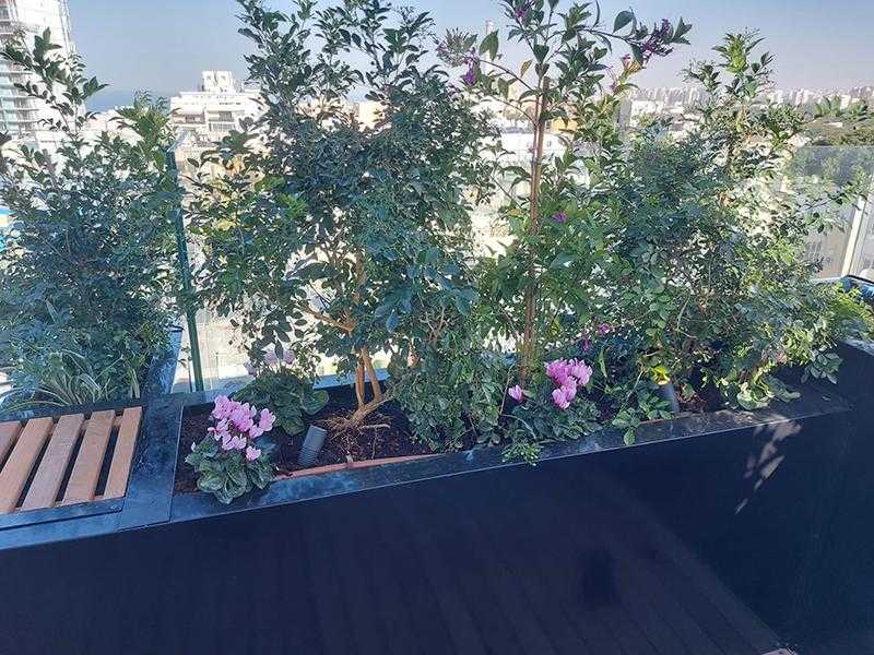 אדניות רחבות לכל אורך המרפסת