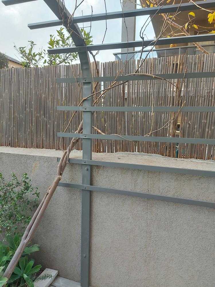 גדר במבוק בגינת עץ עם סככה מכופפת לצמחים מטפסים