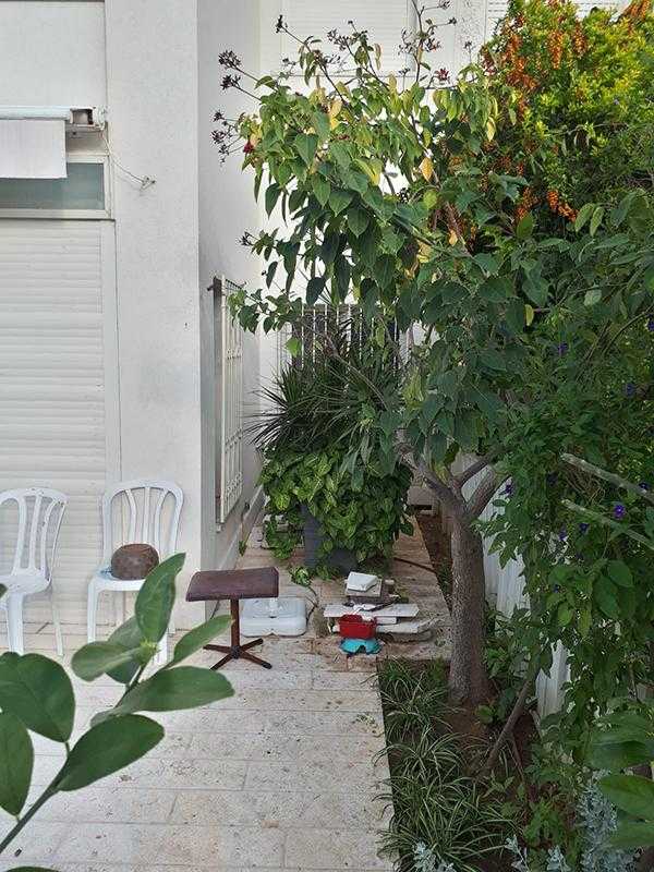 גינת חצר במרכז הארץ