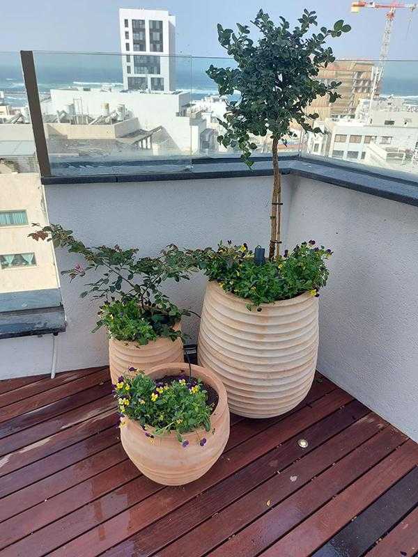 גינות גג - עציצים דקורטיביים לגינת גג או מרפסת