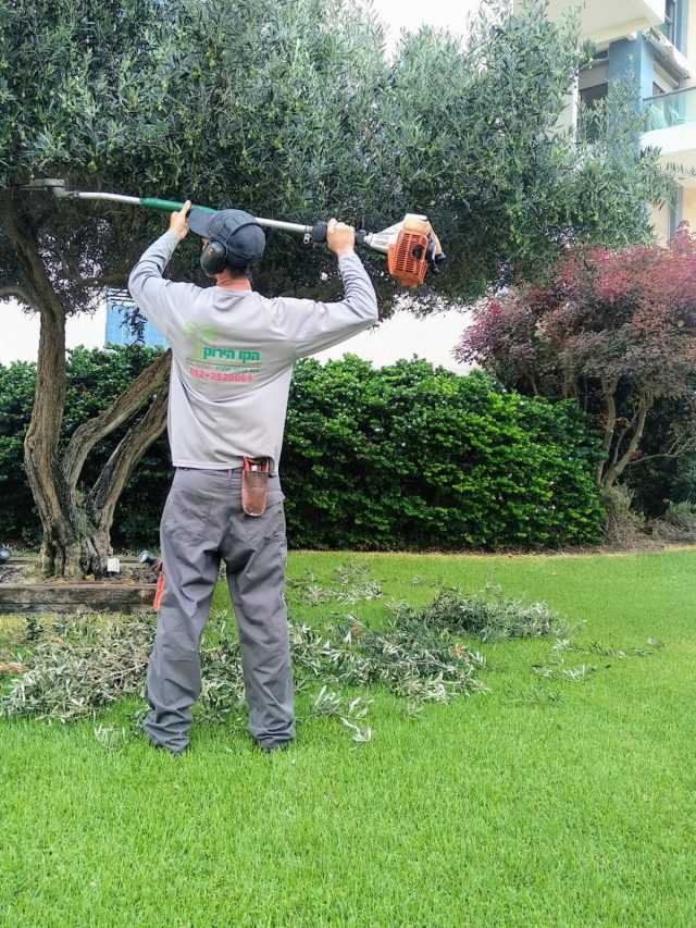 גיזום שיחים הכנת הגינה לקראת הקיץ - חודש מאי - ניסן נכון - הקו הירוק - גינון יוקרה במרכז הארץ