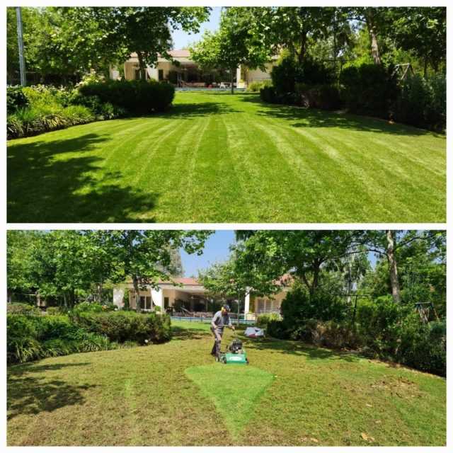 הכנת הגינה לקיץ - מדשאות, דא - כיסוח ותיחוח - הקו הירוק - גינון יוקרה במרכז הארץ