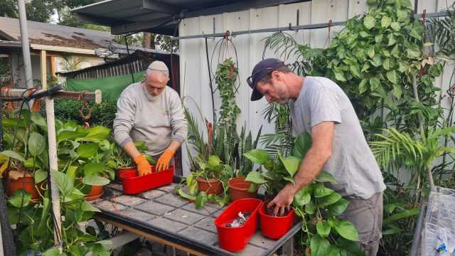 שירותי גינון לעסקים חברות ומשרדים במרכז הארץ