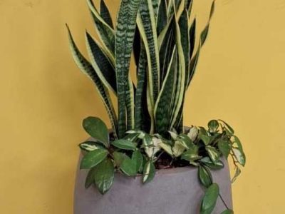 tempFileForShare_20240524-095624