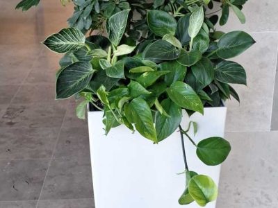 tempFileForShare_20240524-095723