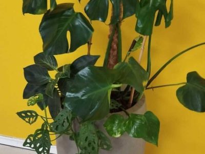 tempFileForShare_20240524-100331