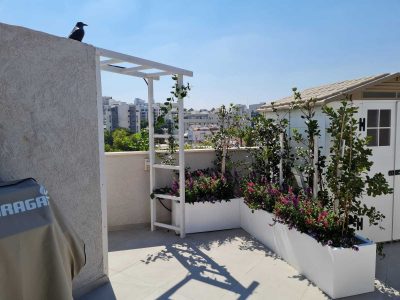 גינות גג - אדניות למרפסת גג