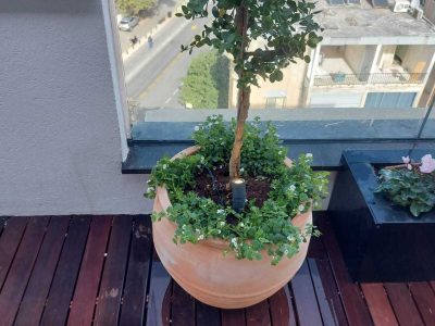 גינות גג - דק עץ טבעי, כד ענק ואדנית דקורטיבית במרפסת גג