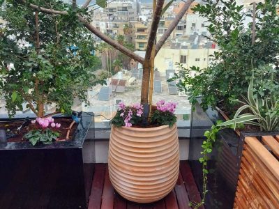 גינות גג - חיפוי דק עץ טבעי, כד ענק ואדניות דקורטיביות בגינה על מרפסת גג