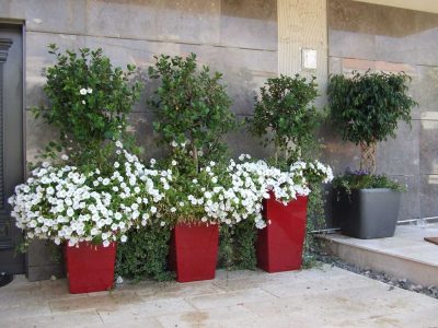 עציצים גדולים מעוצבים לגינה