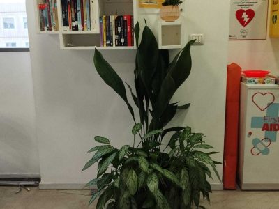 ‏תמונה מ-הקו הירוק ניסן נכון(5)