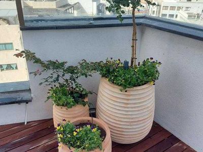 גינות גג - עציצים דקורטיביים לגינת גג או מרפסת