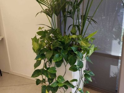 ‏תמונה מ-הקו הירוק ניסן נכון(7)